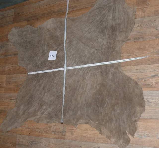 kůže